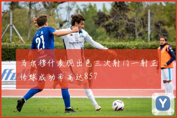 马尔穆什表现出色三次射门一射正传球成功率高达857
